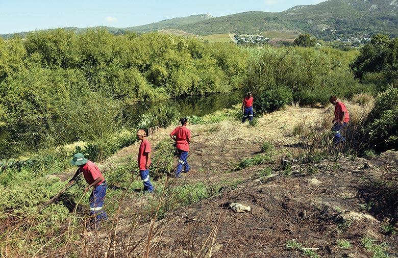 Einige Personen in blauen Hosen und roten Oberteilen arbeiten auf einer Grünfläche.